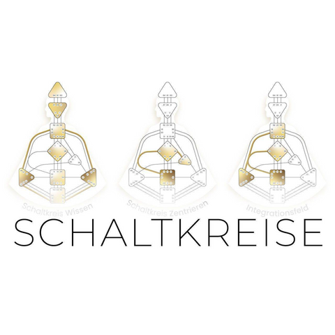 Human Design Schaltkreise Onlinekurs